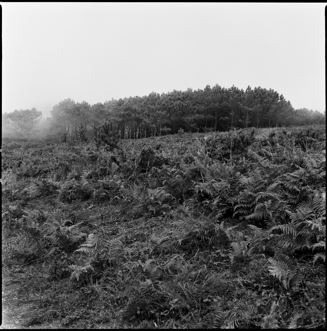 8259 - 2022.05.02 - Manuel Villuendas - solo scan-5