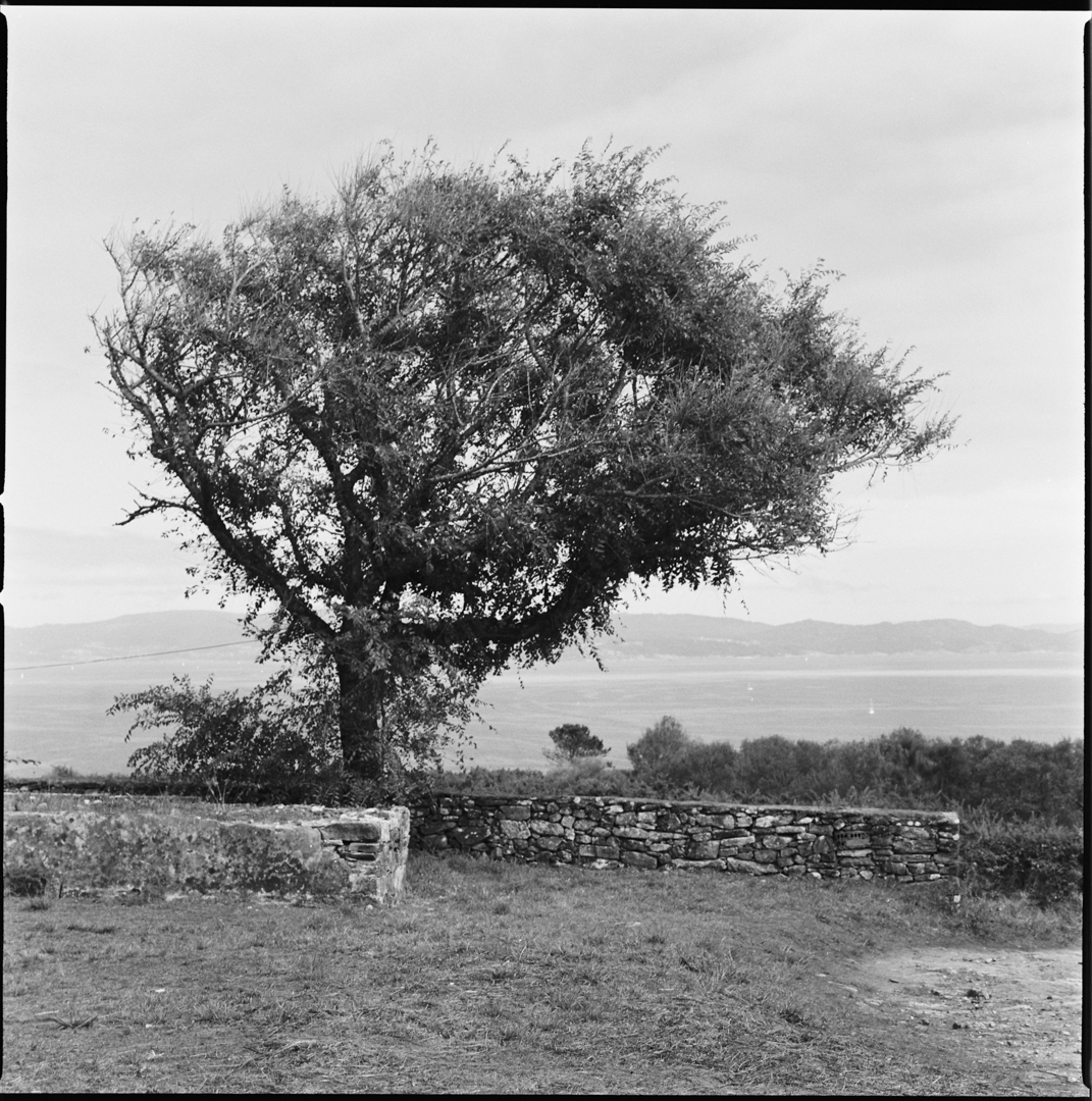 8260 - 2022.05.02 - Manuel Villuendas - solo scan-5