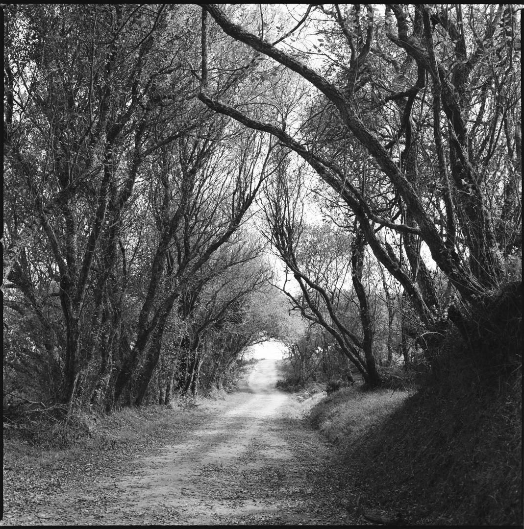 8260 - 2022.05.02 - Manuel Villuendas - solo scan-7