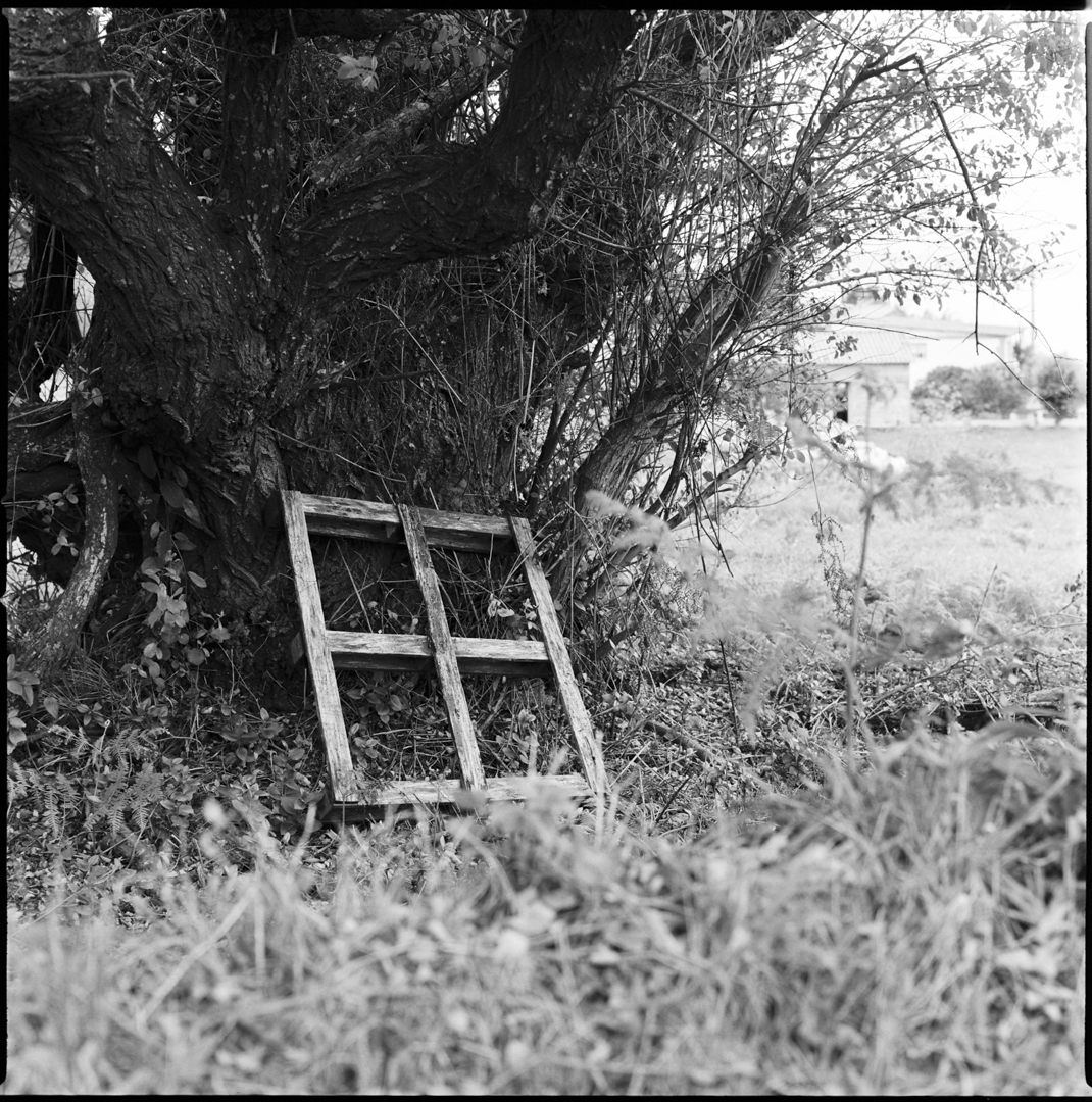 8261 - 2022.05.02 - Manuel Villuendas - solo scan-1